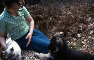 Illustration for article titled When Animals Attract: Your Cuddly Childhood Creatures
